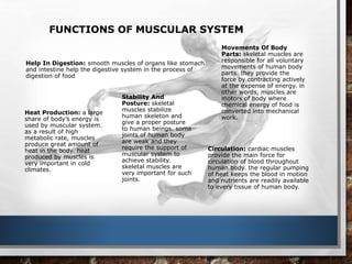 Circulation: cardiac muscles
provide the main force for
circulation of blood throughout
human body. the regular pumping
of heat keeps the blood in motion
and nutrients are readily available
to every tissue of human body.
Heat Production: a large
share of body’s energy is
used by muscular system.
as a result of high
metabolic rate, muscles
produce great amount of
heat in the body. heat
produced by muscles is
very important in cold
climates.
Stability And
Posture: skeletal
muscles stabilize
human skeleton and
give a proper posture
to human beings. some
joints of human body
are weak and they
require the support of
muscular system to
achieve stability.
skeletal muscles are
very important for such
joints.
Movements Of Body
Parts: skeletal muscles are
responsible for all voluntary
movements of human body
parts. they provide the
force by contracting actively
at the expense of energy. in
other words, muscles are
motors of body where
chemical energy of food is
converted into mechanical
work.
Help In Digestion: smooth muscles of organs like stomach
and intestine help the digestive system in the process of
digestion of food
FUNCTIONS OF MUSCULAR SYSTEM
 