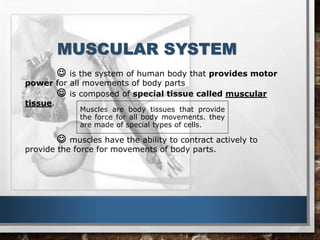 MUSCULAR SYSTEM
 is the system of human body that provides motor
power for all movements of body parts
 is composed of special tissue called muscular
tissue.
 muscles have the ability to contract actively to
provide the force for movements of body parts.
Muscles are body tissues that provide
the force for all body movements. they
are made of special types of cells.
 