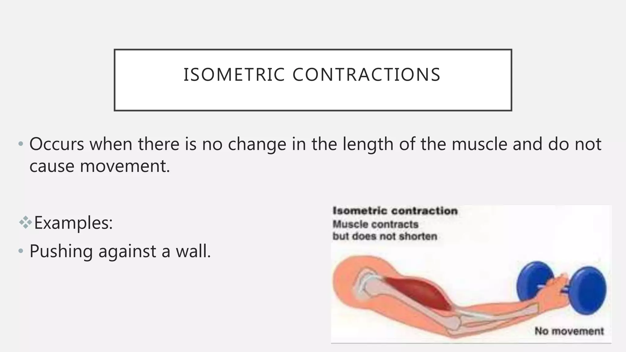 The muscular system | PPTX