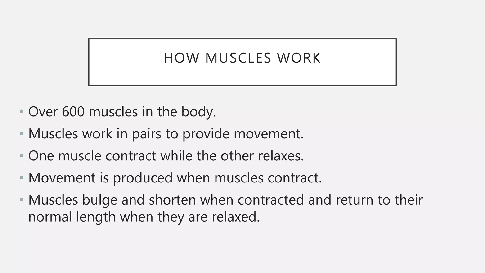 The muscular system | PPTX