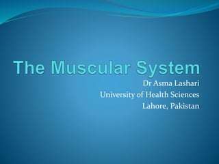 Dr Asma Lashari
University of Health Sciences
Lahore, Pakistan
 