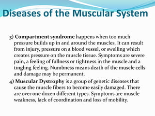 Diseases of the Muscular System
3) Compartment syndrome happens when too much
pressure builds up in and around the muscles. It can result
from injury, pressure on a blood vessel, or swelling which
creates pressure on the muscle tissue. Symptoms are severe
pain, a feeling of fullness or tightness in the muscle and a
tingling feeling. Numbness means death of the muscle cells
and damage may be permanent.
4) Muscular Dystrophy is a group of genetic diseases that
cause the muscle fibers to become easily damaged. There
are over one dozen different types. Symptoms are muscle
weakness, lack of coordination and loss of mobility.
 