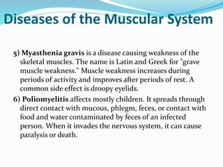 5) Myasthenia gravis is a disease causing weakness of the
skeletal muscles. The name is Latin and Greek for "grave
muscle weakness." Muscle weakness increases during
periods of activity and improves after periods of rest. A
common side effect is droopy eyelids.
6) Poliomyelitis affects mostly children. It spreads through
direct contact with mucous, phlegm, feces, or contact with
food and water contaminated by feces of an infected
person. When it invades the nervous system, it can cause
paralysis or death.
Diseases of the Muscular System
 