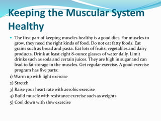 Keeping the Muscular System
Healthy
 The first part of keeping muscles healthy is a good diet. For muscles to
grow, they need the right kinds of food. Do not eat fatty foods. Eat
grains such as bread and pasta. Eat lots of fruits, vegetables and dairy
products. Drink at least eight 8-ounce glasses of water daily. Limit
drinks such as soda and certain juices. They are high in sugar and can
lead to fat storage in the muscles. Get regular exercise. A good exercise
program has five parts:
1) Warm up with light exercise
2) Stretch
3) Raise your heart rate with aerobic exercise
4) Build muscle with resistance exercise such as weights
5) Cool down with slow exercise
 