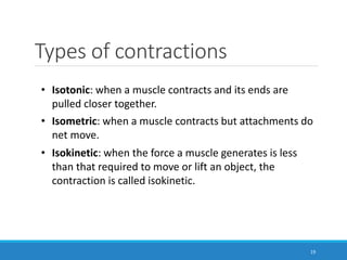 Types of contractions
19
• Isotonic: when a muscle contracts and its ends are
pulled closer together.
• Isometric: when a muscle contracts but attachments do
net move.
• Isokinetic: when the force a muscle generates is less
than that required to move or lift an object, the
contraction is called isokinetic.
 
