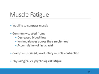 24
Muscle Fatigue
• Inability to contract muscle
• Commonly caused from:
• Decreased blood flow
• Ion imbalances across the sarcolemma
• Accumulation of lactic acid
• Cramp – sustained, involuntary muscle contraction
• Physiological vs. psychological fatigue
 