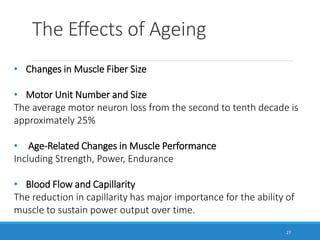 The Effects of Ageing
27
• Changes in Muscle Fiber Size
• Motor Unit Number and Size
The average motor neuron loss from the second to tenth decade is
approximately 25%
• Age-Related Changes in Muscle Performance
Including Strength, Power, Endurance
• Blood Flow and Capillarity
The reduction in capillarity has major importance for the ability of
muscle to sustain power output over time.
 