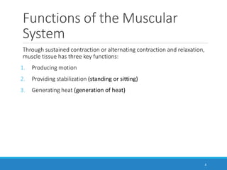 Functions of the Muscular
System
Through sustained contraction or alternating contraction and relaxation,
muscle tissue has three key functions:
1. Producing motion
2. Providing stabilization (standing or sitting)
3. Generating heat (generation of heat)
4
 