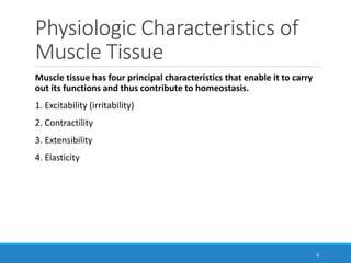 Physiologic Characteristics of
Muscle Tissue
Muscle tissue has four principal characteristics that enable it to carry
out its functions and thus contribute to homeostasis.
1. Excitability (irritability)
2. Contractility
3. Extensibility
4. Elasticity
6
 
