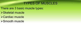 THE MUSCULAR SYSTEM.pptx