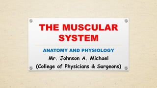 THE_MUSCULAR_SYSTEM Anatomy power point T | PPTX