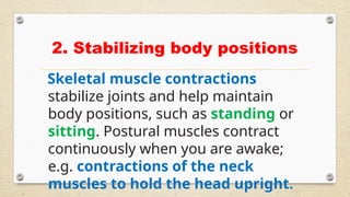 Muscle Position THE_MUSCULAR_SYSTEM Anatomy power point T | PPTX
