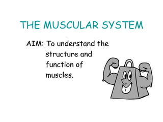 THE MUSCULAR SYSTEM
AIM: To understand the
structure and
function of
muscles.
 