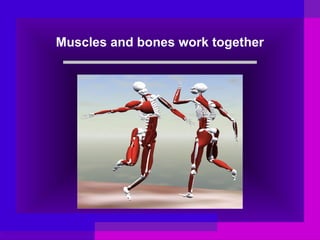 Muscles and bones work together

 