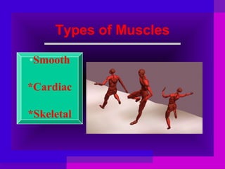 Types of Muscles
*Smooth

*Cardiac
*Skeletal

 