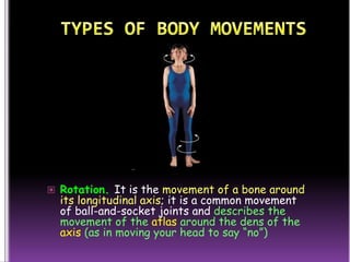 The muscular system (slide show) | PPSX