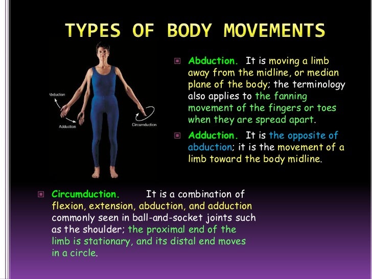 The muscular system (slide show)