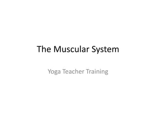 The Muscular System
Yoga Teacher Training
 