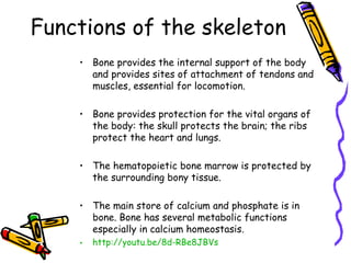 Functions of the skeleton
    • Bone provides the internal support of the body
      and provides sites of attachment of tendons and
      muscles, essential for locomotion.

    • Bone provides protection for the vital organs of
      the body: the skull protects the brain; the ribs
      protect the heart and lungs.

    • The hematopoietic bone marrow is protected by
      the surrounding bony tissue.

    • The main store of calcium and phosphate is in
      bone. Bone has several metabolic functions
      especially in calcium homeostasis.
    •   http://youtu.be/8d-RBe8JBVs
 