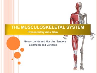 THE MUSCULOSKELETAL SYSTEM
Bones, Joints and Muscles Tendons
Ligaments and Cartilage
Presented by Amir Sami
 