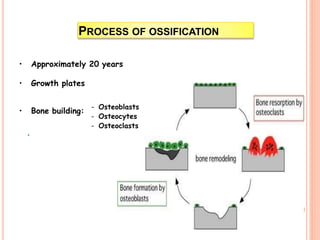 Sification Process The Musculoskeletal system | PPTX