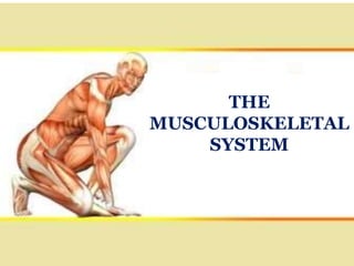THE
MUSCULOSKELETAL
SYSTEM
 