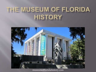 museumoffloridahistory.com
 