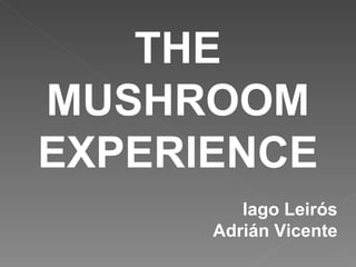 THE MUSHROOM EXPERIENCE Iago Leirós Adrián Vicente 