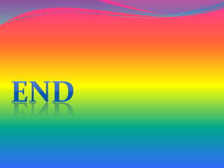 Final Year project 2013