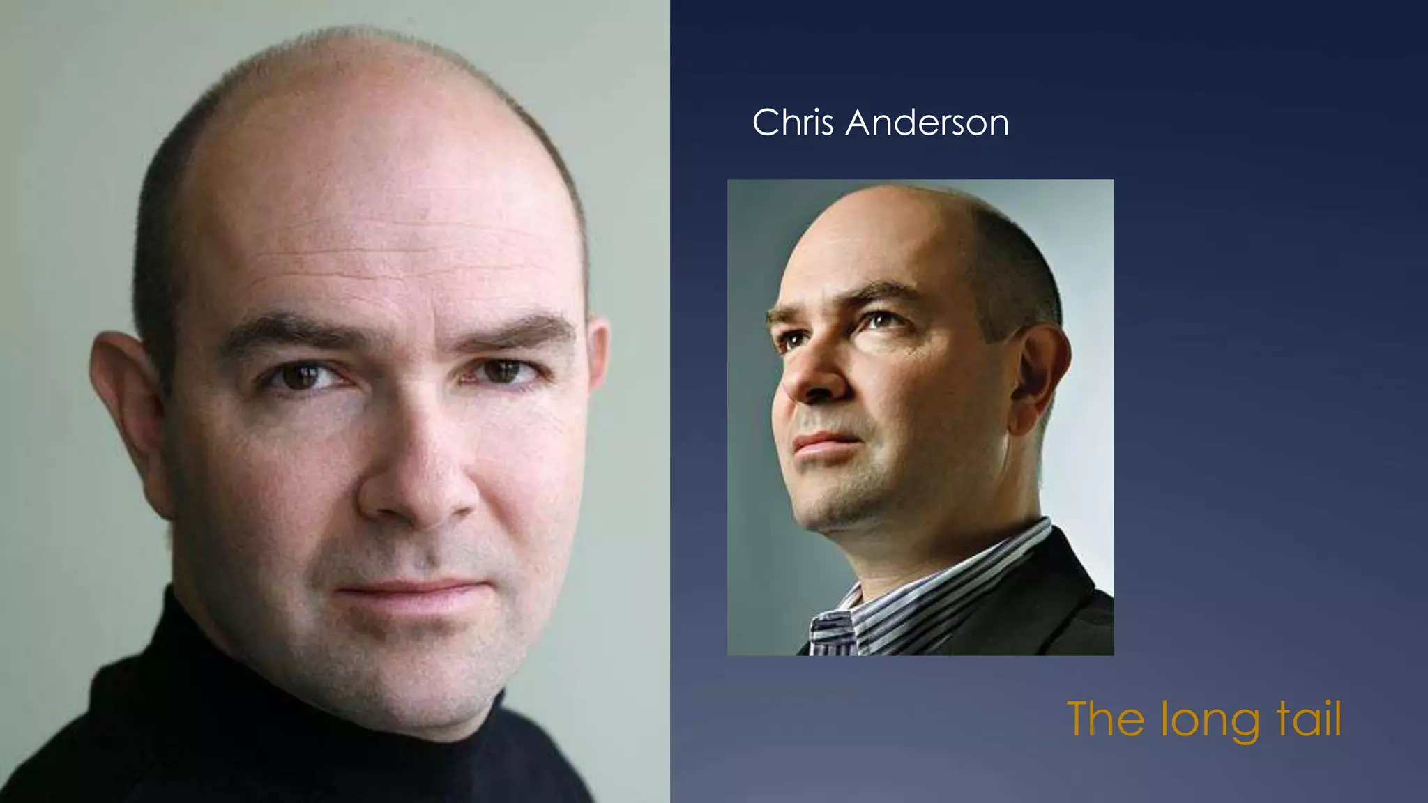 The long tail
Chris Anderson
 