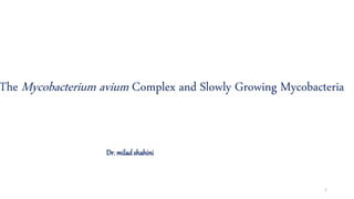 The Mycobacterium avium Complex and Slowly Growing Mycobacteria
1
Dr. milad shahini
 