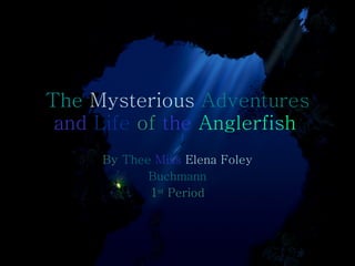 The  Mysterious  Adventures   and   Life   of   the   Anglerfish   By   Thee   Miss   Elena   Foley Buchmann 1 st  Period 