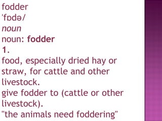 Through Fodder The Mysterious Picture | PPT