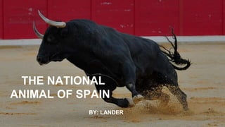 THE NATIONAL
ANIMAL OF SPAIN
BY: LANDER
 