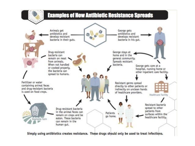 The National Antibiotic Guidelines: Shepherding Clinicians ...