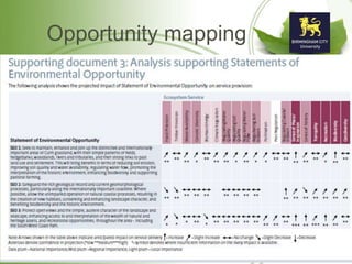 Opportunity mapping
 