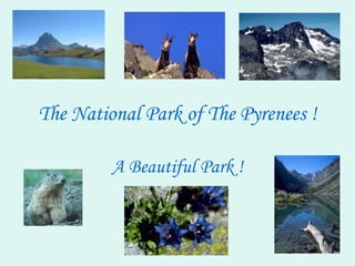 The National Park of The Pyrenees ! A Beautiful Park ! 