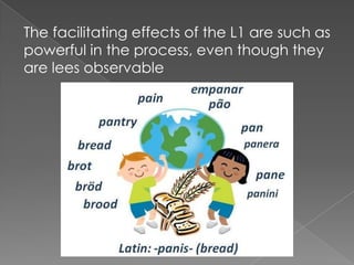 The facilitating effects of the L1 are such as
powerful in the process, even though they
are lees observable
 