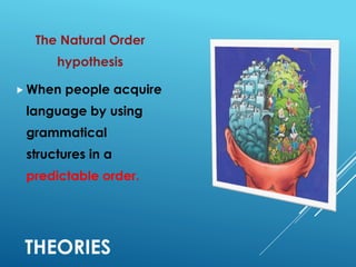 THEORIES
The Natural Order
hypothesis
 When people acquire
language by using
grammatical
structures in a
predictable order.
 