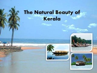 The Natural Beauty of
Kerala
 