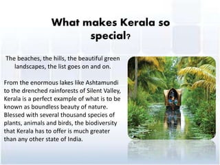 What makes Kerala so
special?
The beaches, the hills, the beautiful green
landscapes, the list goes on and on.
From the enormous lakes like Ashtamundi
to the drenched rainforests of Silent Valley,
Kerala is a perfect example of what is to be
known as boundless beauty of nature.
Blessed with several thousand species of
plants, animals and birds, the biodiversity
that Kerala has to offer is much greater
than any other state of India.
 