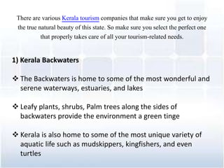 There are various Kerala tourism companies that make sure you get to enjoy
the true natural beauty of this state. So make sure you select the perfect one
that properly takes care of all your tourism-related needs.
1) Kerala Backwaters
? The Backwaters is home to some of the most wonderful and
serene waterways, estuaries, and lakes
? Leafy plants, shrubs, Palm trees along the sides of
backwaters provide the environment a green tinge
? Kerala is also home to some of the most unique variety of
aquatic life such as mudskippers, kingfishers, and even
turtles
 
