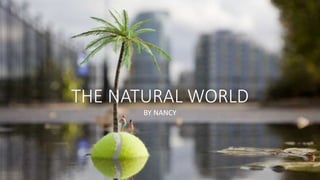 THE NATURAL WORLD
BY NANCY

 