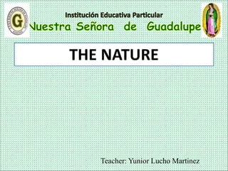 Teacher: Yunior Lucho Martinez
THE NATURE
 