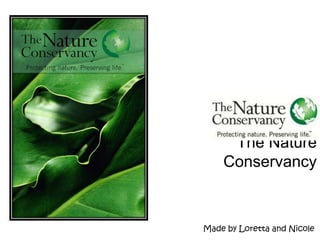 The Nature Conservancy Made by Loretta and Nicole 