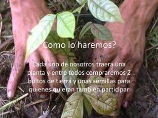 Como lo haremos?
  Cada uno de nosotros traerá una
planta y entre todos compraremos 2
bultos de tierra y unas semillas para
quienes quieran también participar
 