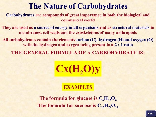 The Importance Of A Carbohydrate And Its