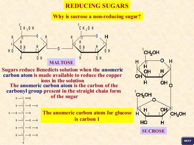 The Nature Of Carbohydrates