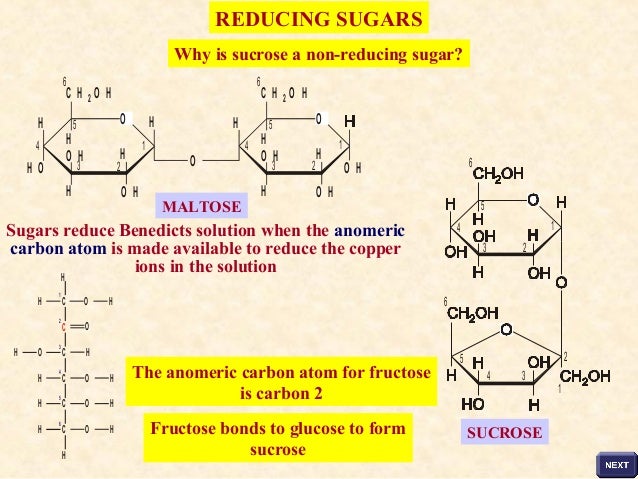 The Nature Of Carbohydrates