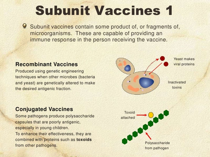 The Nature Of Disease Controlling Disease
